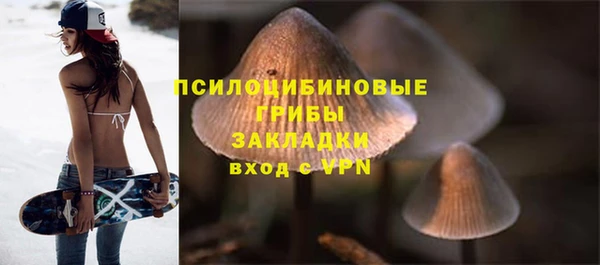 первитин Белокуриха