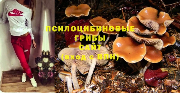 экстази Белоозёрский
