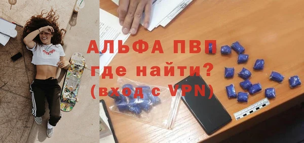 твердый Богданович